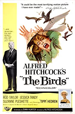Madarak / The Birds