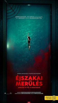 Éjszakai merülés / Night Swim