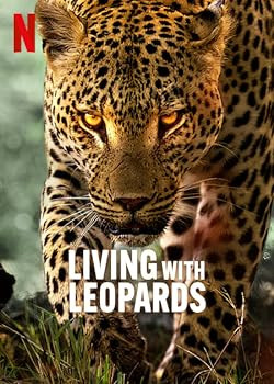 Leopárdok nyomában / Living with Leopards