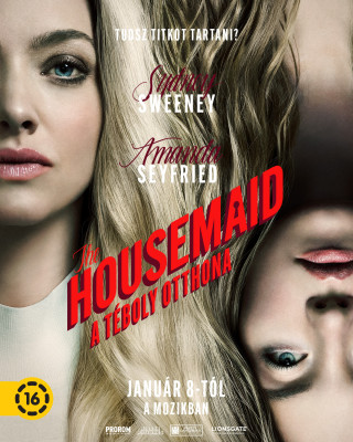 The Housemaid – A téboly otthona / The Housemaid