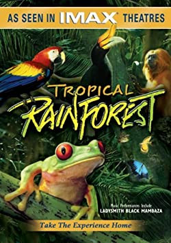 Trópusi esőerdő / Tropical Rainforest
