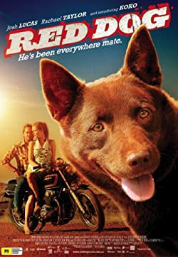 Vörös kutya / Red Dog