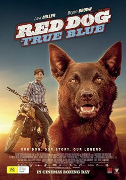 Vörös kutya - A kezdetek / Red Dog: True Blue