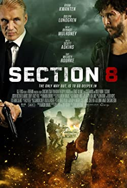 Nyolcas szekció / Section 8