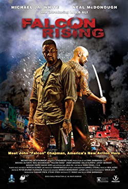 Fedőneve: Sólyom / Falcon Rising