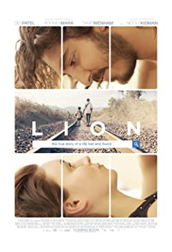 Oroszlán / Lion