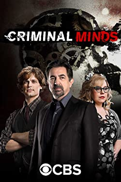 Gyilkos elmék / Criminal Minds